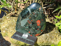 Polished Bastite Dragon Bloodstone Standing Free Form x 1 From South Africa - Toprock Gemstones and Minerals 