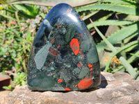 Polished Bastite Dragon Bloodstone Standing Free Form x 1 From South Africa - Toprock Gemstones and Minerals 
