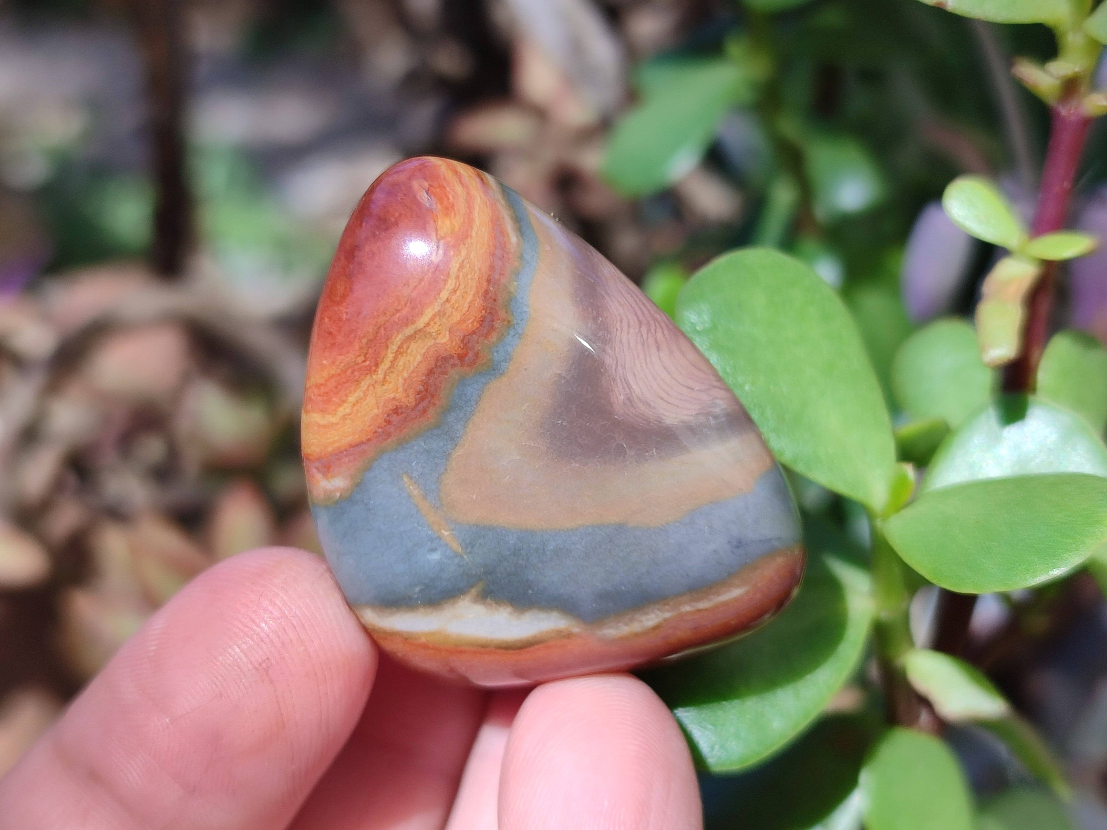 Polished Polychrome Jasper Palm Stones x 35 From NW Coast, Madagascar - Toprock Gemstones and Minerals 
