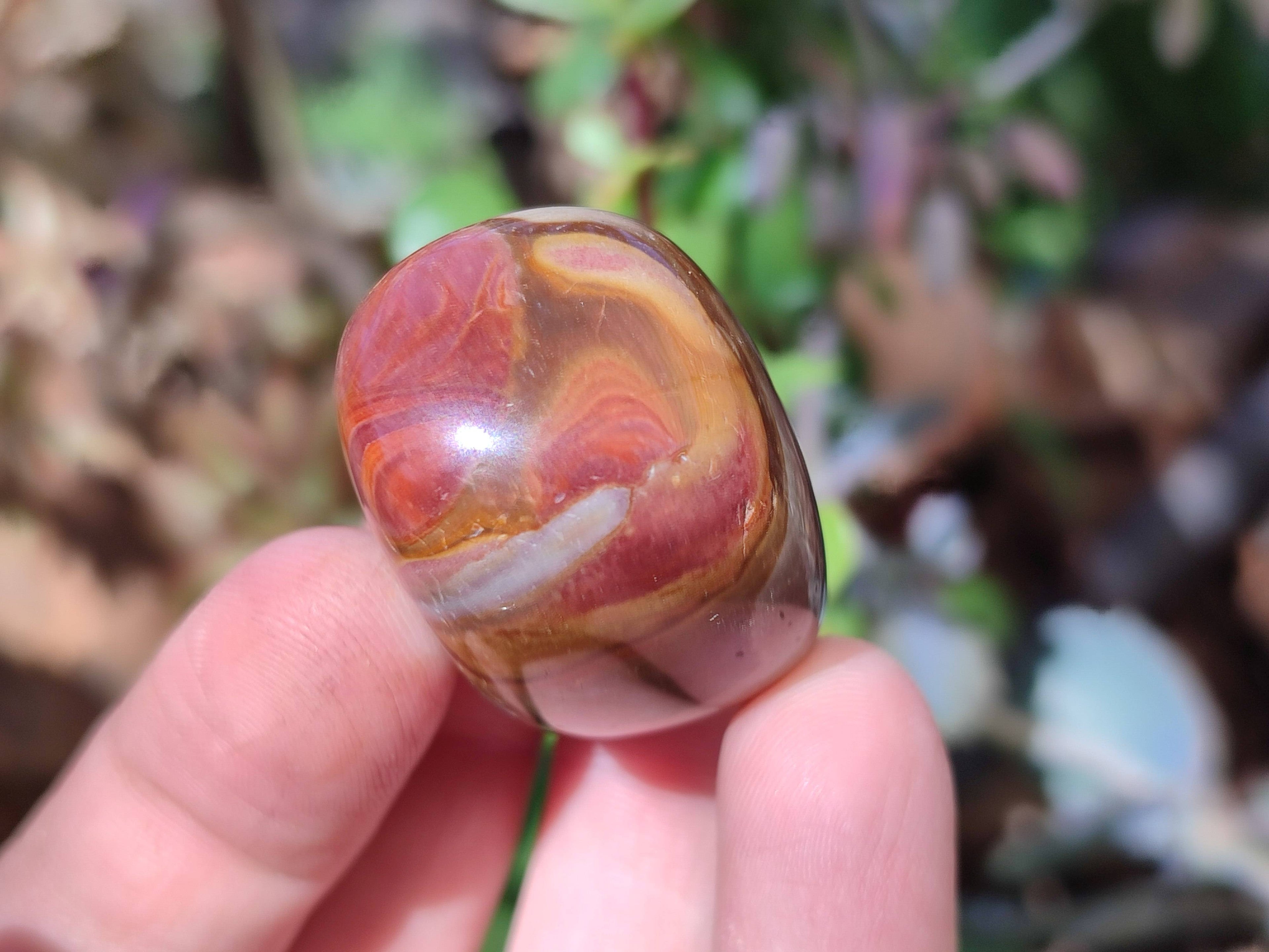 Polished Polychrome Jasper Palm Stones x 35 From NW Coast, Madagascar - Toprock Gemstones and Minerals 