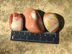 Polished Polychrome Jasper Palm Stones x 35 From NW Coast, Madagascar - Toprock Gemstones and Minerals 