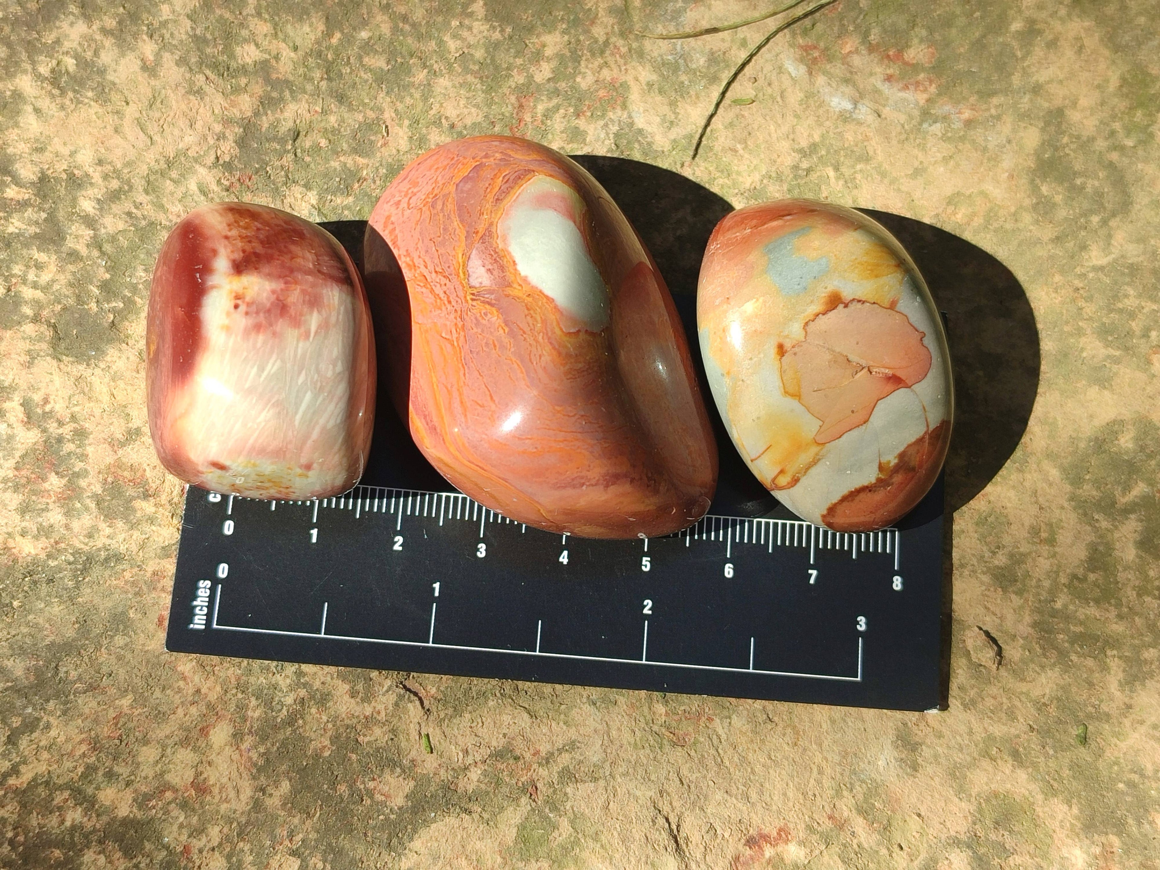 Polished Polychrome Jasper Palm Stones x 35 From NW Coast, Madagascar - Toprock Gemstones and Minerals 