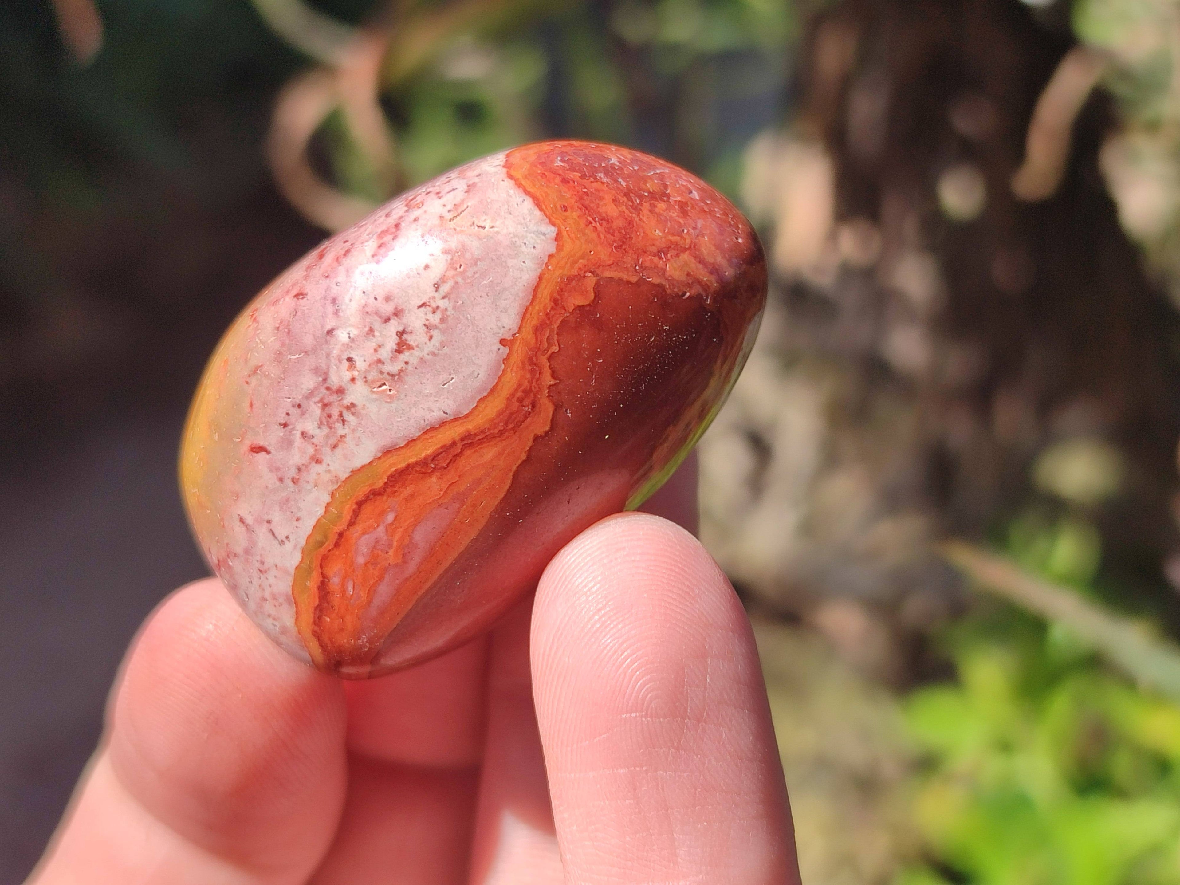 Polished Polychrome Jasper Palm Stones x 35 From NW Coast, Madagascar - Toprock Gemstones and Minerals 