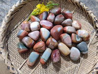 Polished Polychrome Jasper Palm Stones x 35 From NW Coast, Madagascar