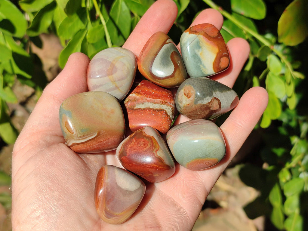 Polished Polychrome Jasper Palm Stones x 35 From NW Coast, Madagascar - Toprock Gemstones and Minerals 