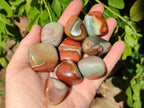 Polished Polychrome Jasper Palm Stones x 35 From NW Coast, Madagascar - Toprock Gemstones and Minerals 