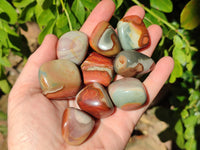 Polished Polychrome Jasper Palm Stones x 35 From NW Coast, Madagascar