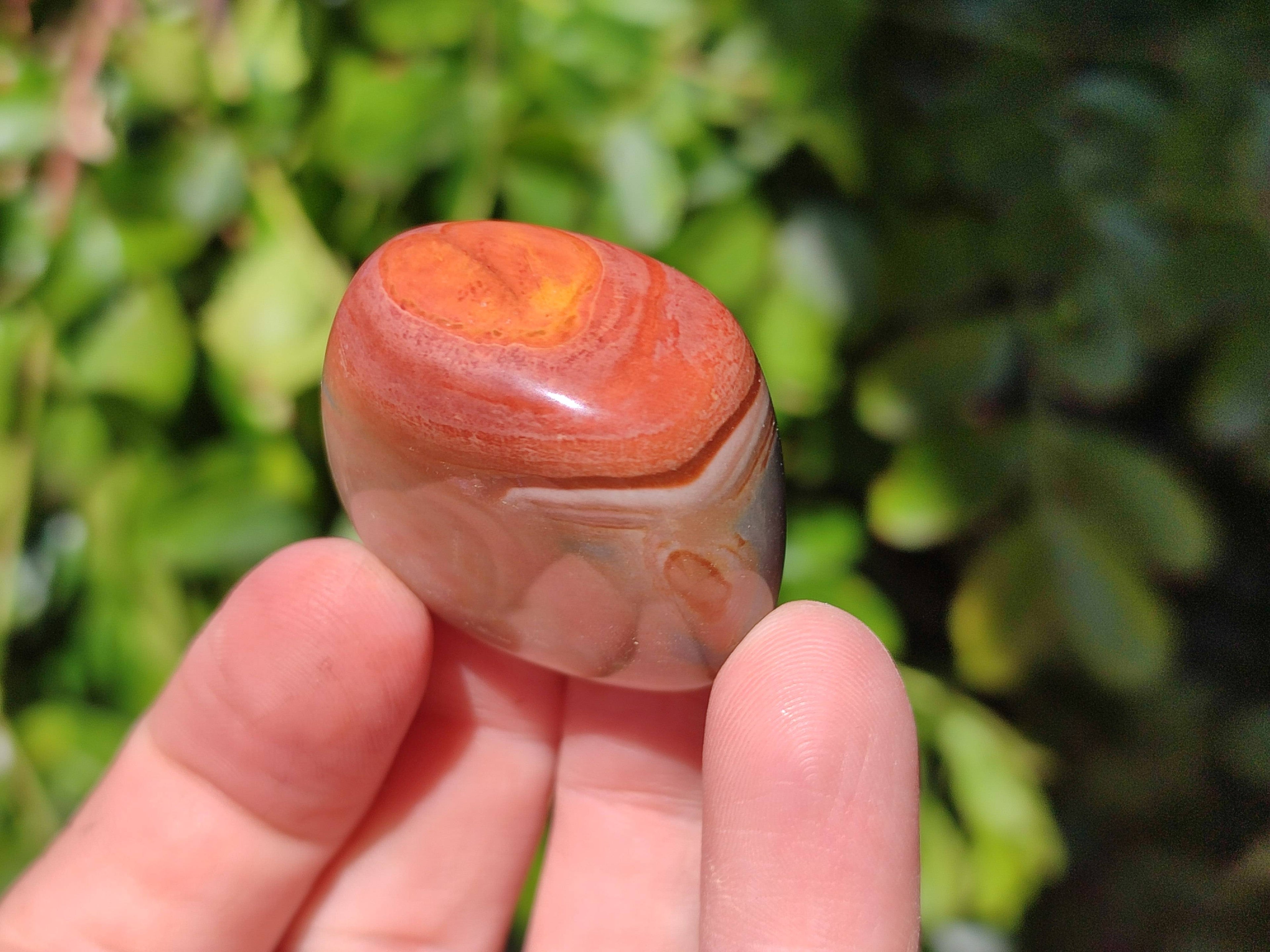 Polished Polychrome Jasper Palm Stones x 35 From NW Coast, Madagascar - Toprock Gemstones and Minerals 