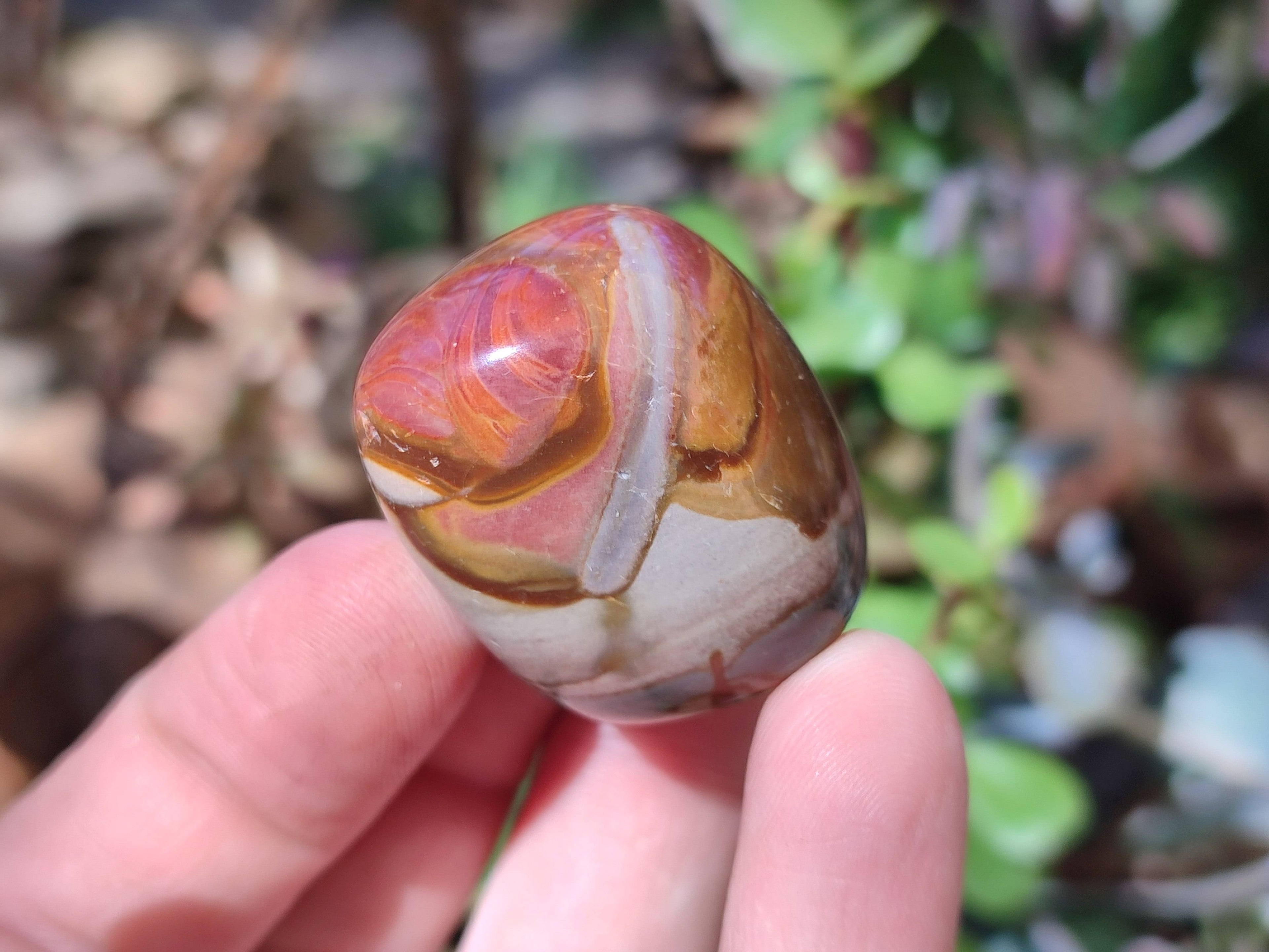 Polished Polychrome Jasper Palm Stones x 35 From NW Coast, Madagascar - Toprock Gemstones and Minerals 