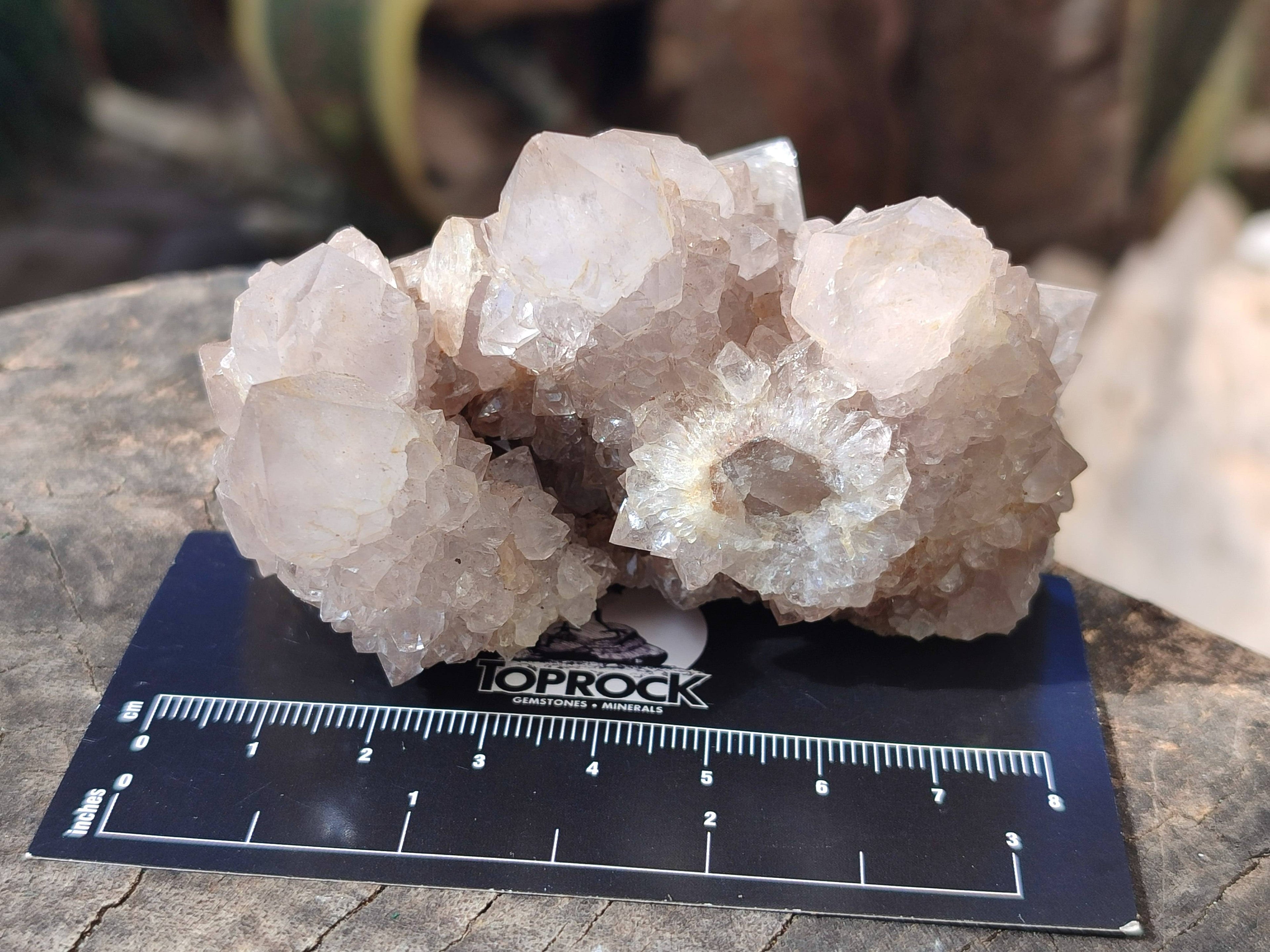 Natural Spirit Quartz Clusters x 6 From Boekenhouthoek, South Africa - Toprock Gemstones and Minerals 
