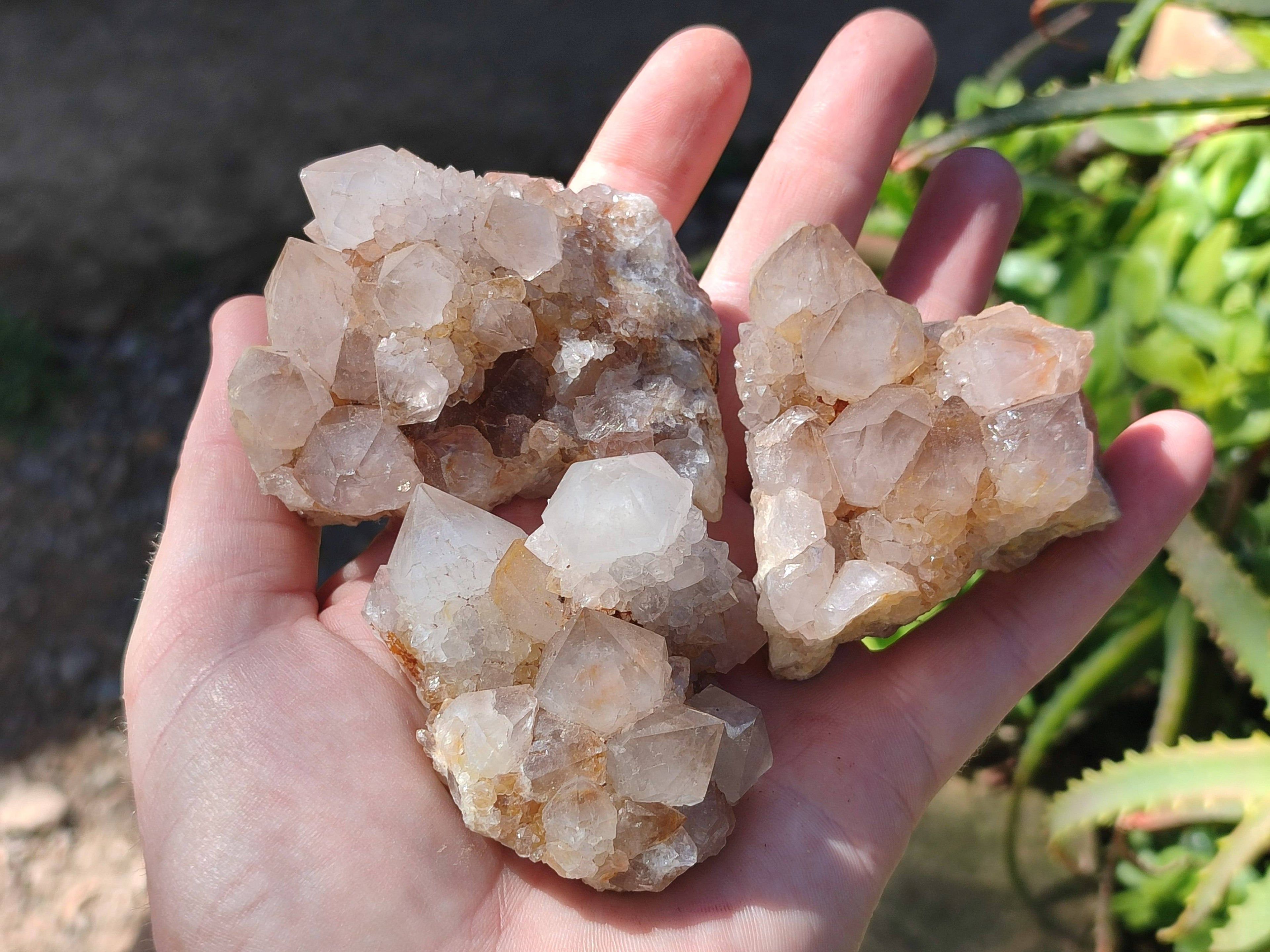 Natural Spirit Quartz Clusters x 6 From Boekenhouthoek, South Africa - Toprock Gemstones and Minerals 