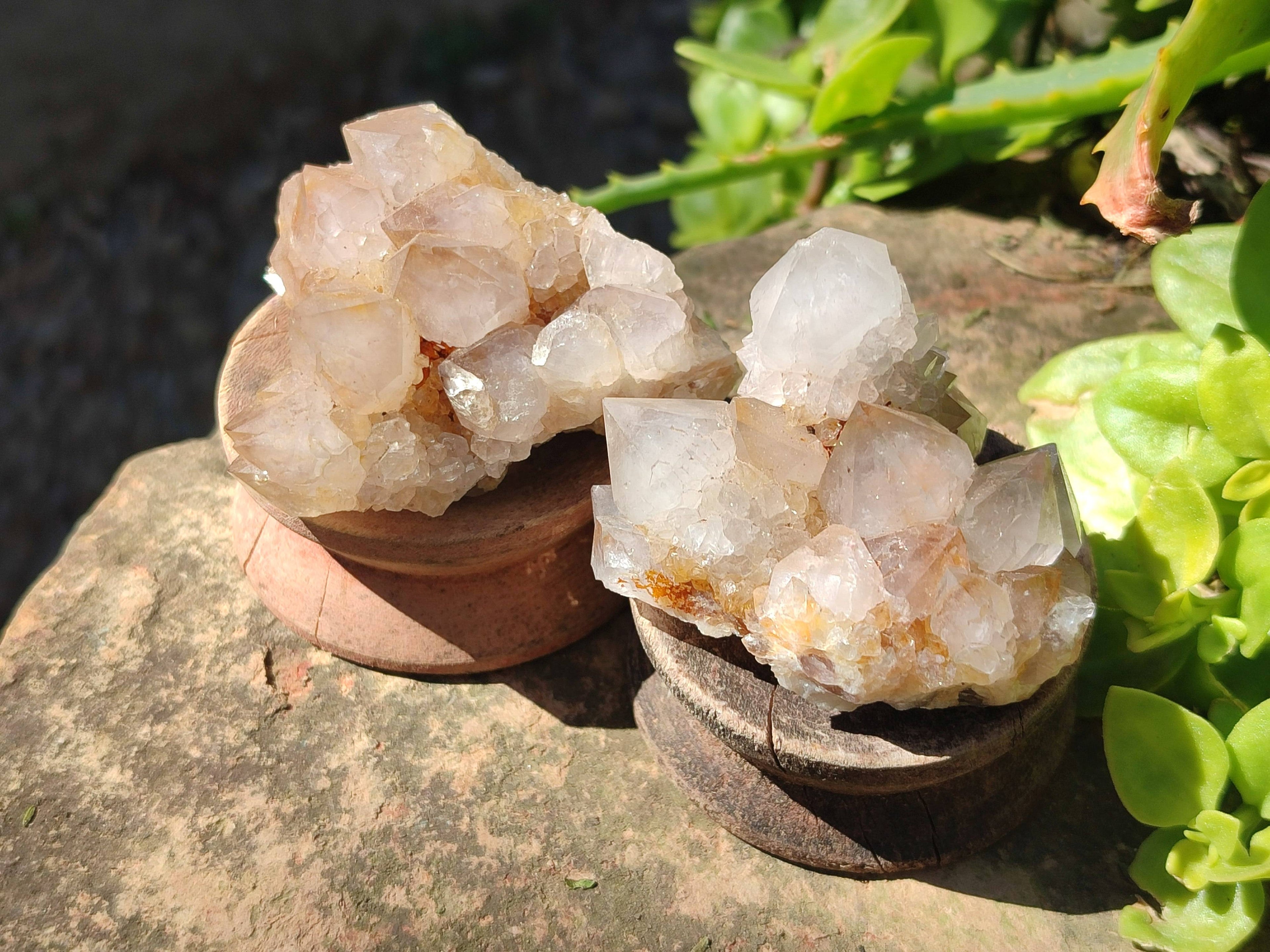 Natural Spirit Quartz Clusters x 6 From Boekenhouthoek, South Africa - Toprock Gemstones and Minerals 