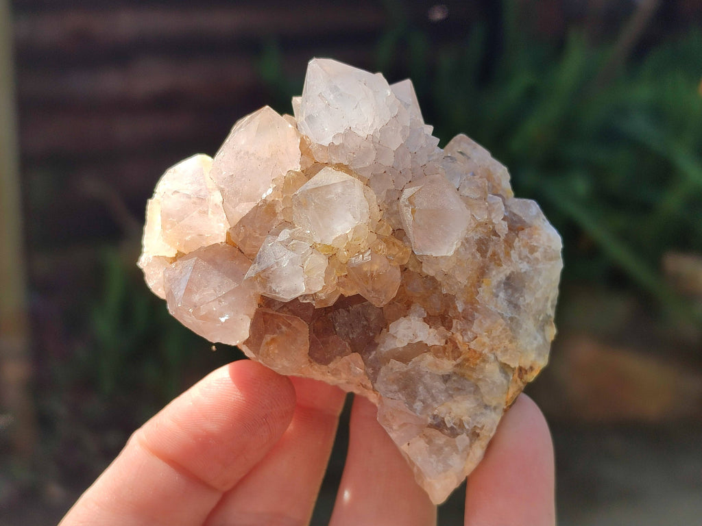 Natural Spirit Quartz Clusters x 6 From Boekenhouthoek, South Africa - Toprock Gemstones and Minerals 