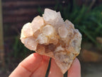 Natural Spirit Quartz Clusters x 6 From Boekenhouthoek, South Africa - Toprock Gemstones and Minerals 