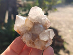 Natural Spirit Quartz Clusters x 6 From Boekenhouthoek, South Africa - Toprock Gemstones and Minerals 