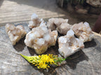 Natural Spirit Quartz Clusters x 6 From Boekenhouthoek, South Africa - Toprock Gemstones and Minerals 