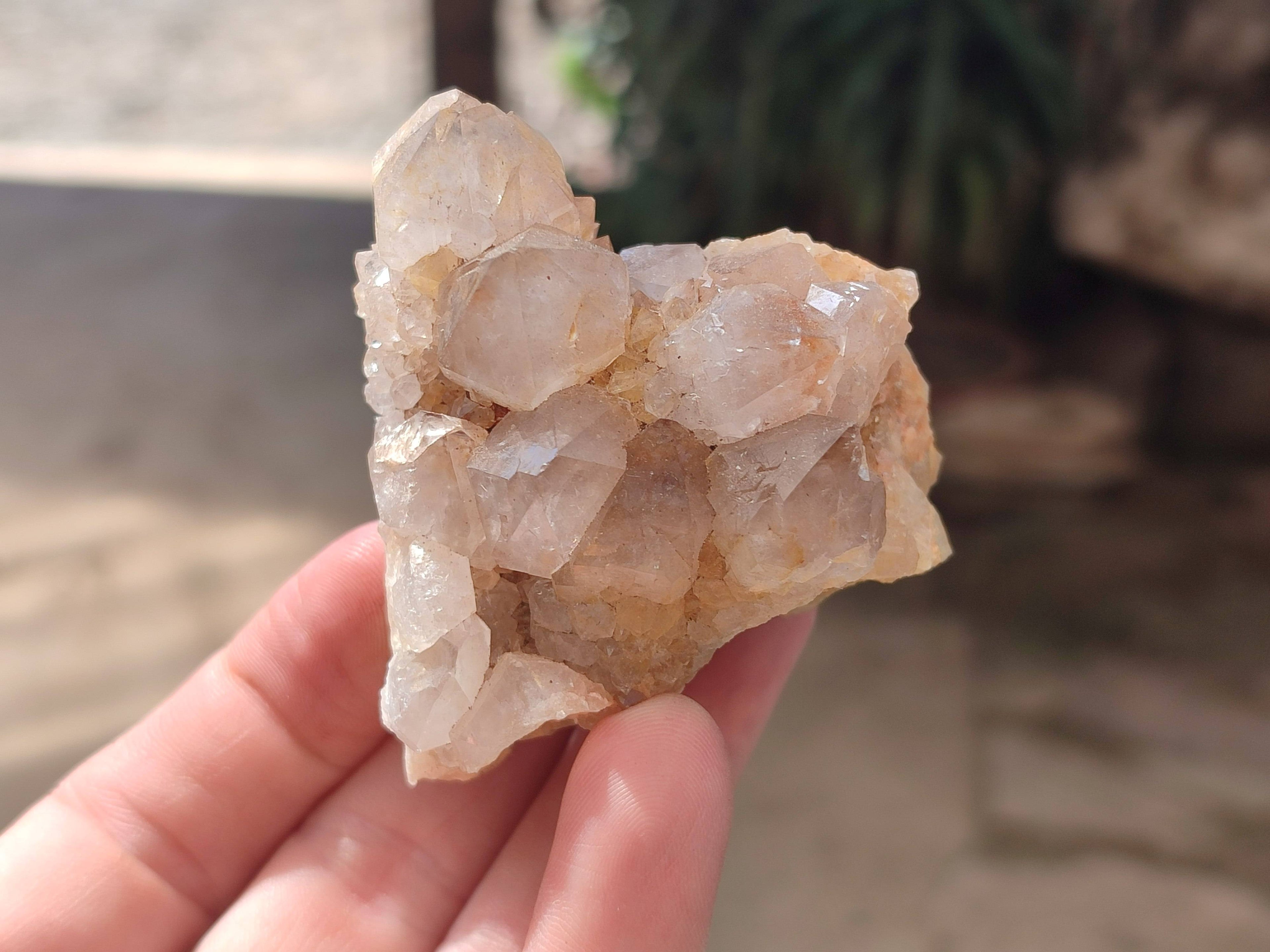 Natural Spirit Quartz Clusters x 6 From Boekenhouthoek, South Africa - Toprock Gemstones and Minerals 