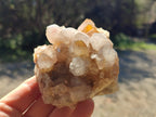 Natural Spirit Quartz Clusters x 6 From Boekenhouthoek, South Africa - Toprock Gemstones and Minerals 