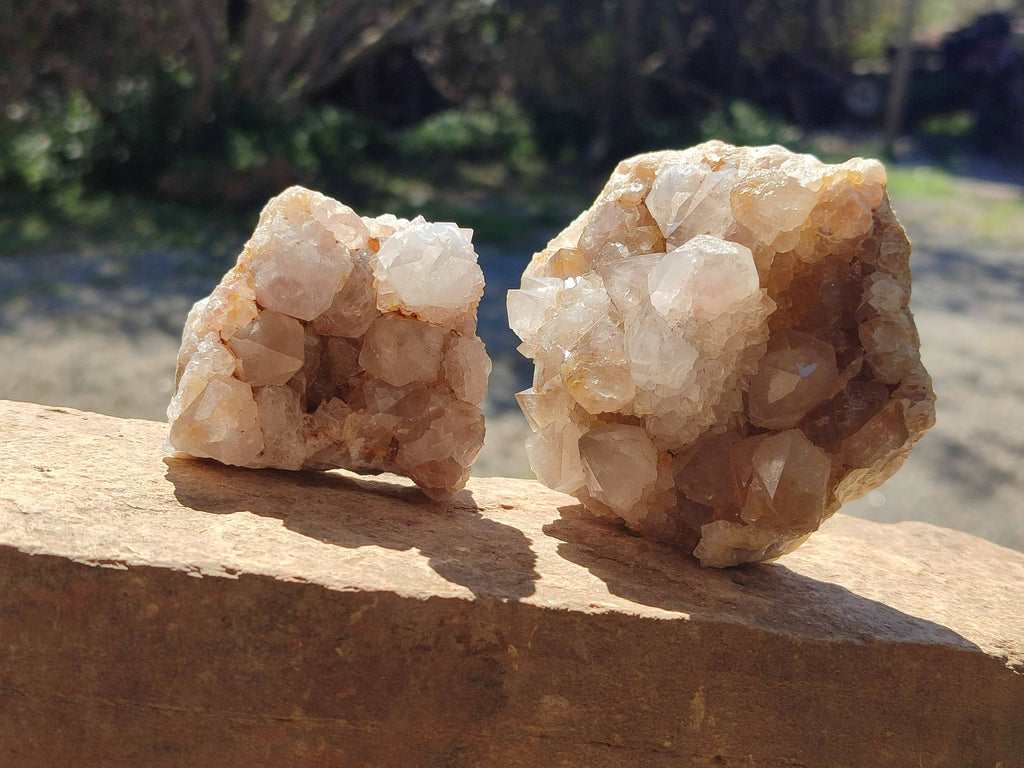 Natural Spirit Quartz Clusters x 6 From Boekenhouthoek, South Africa - Toprock Gemstones and Minerals 