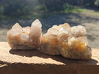 Natural Spirit Quartz Clusters x 6 From Boekenhouthoek, South Africa - Toprock Gemstones and Minerals 