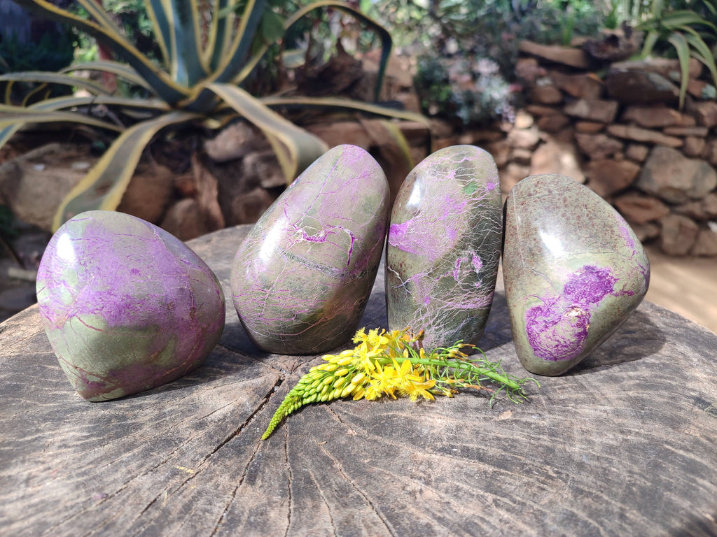 Polished Stichtite Standing Free Forms x 4 From Barberton, South Africa - Toprock Gemstones and Minerals 