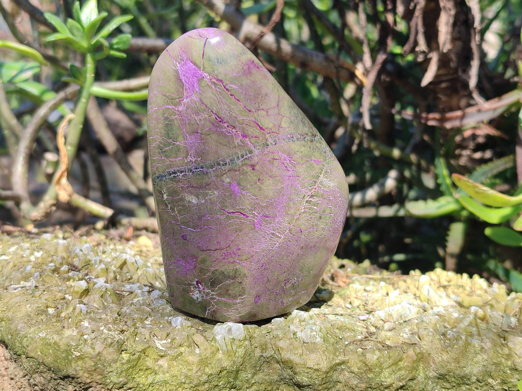 Polished Stichtite Standing Free Forms x 4 From Barberton, South Africa - Toprock Gemstones and Minerals 