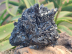 Natural Schorl Black Tourmaline Specimens x 2 From Erongo, Namibia - Toprock Gemstones and Minerals 