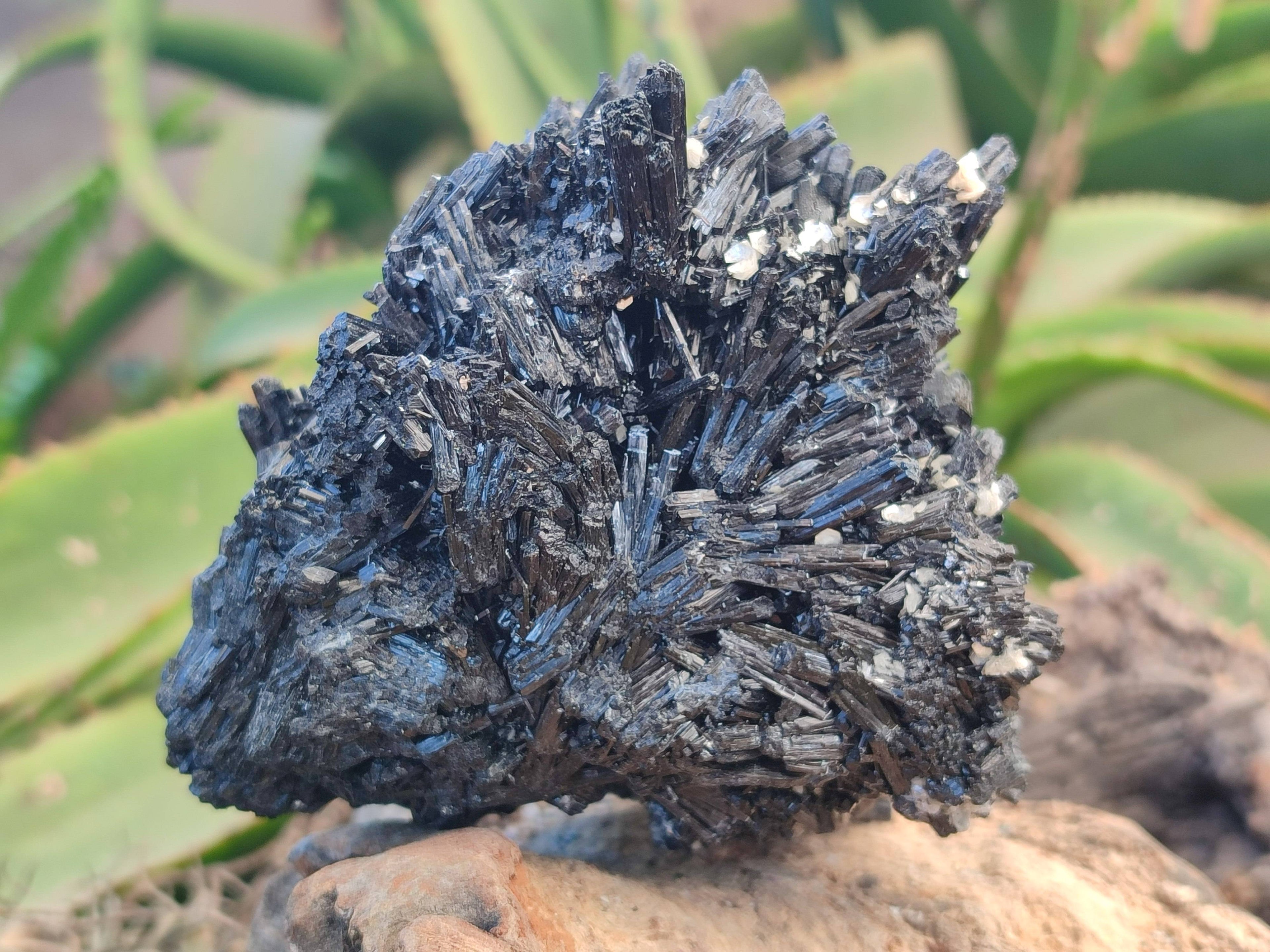 Natural Schorl Black Tourmaline Specimens x 2 From Erongo, Namibia - Toprock Gemstones and Minerals 