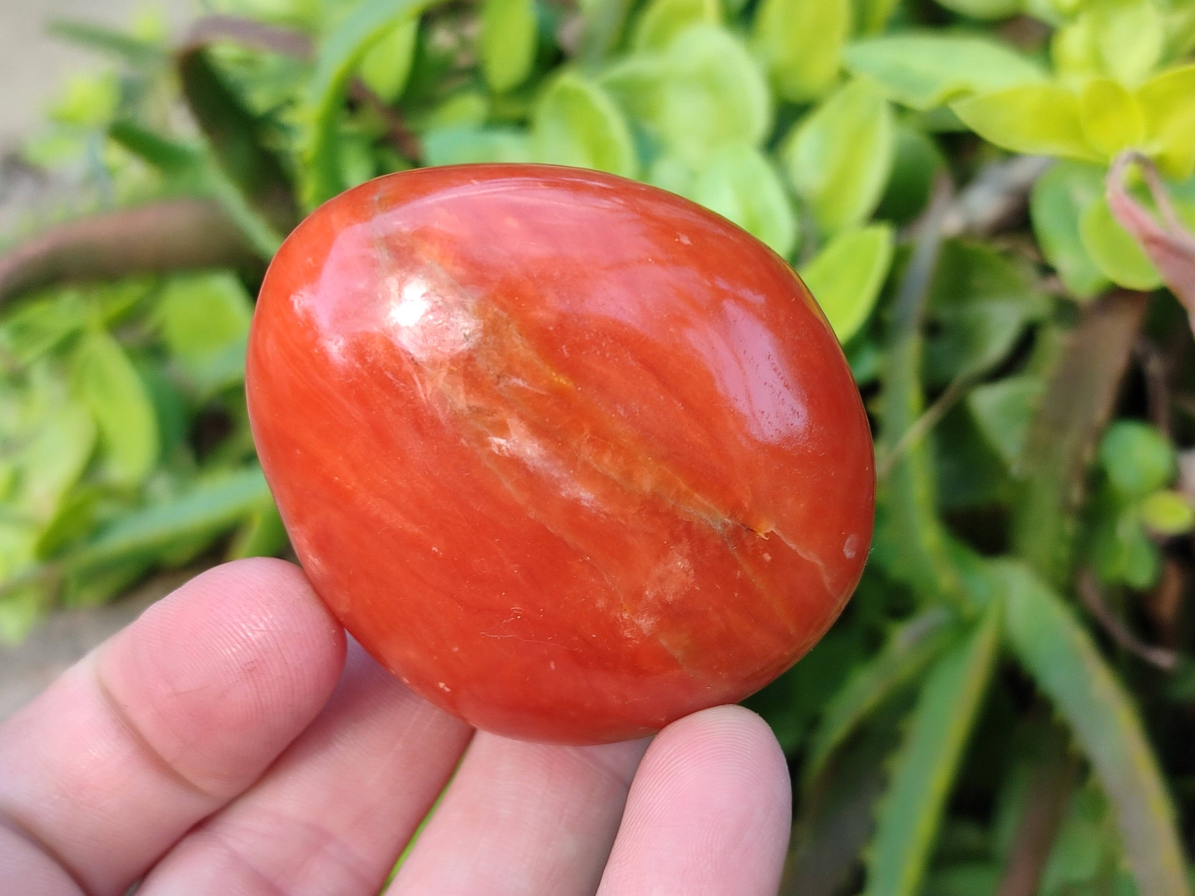 Polished Orange Twist Calcite Palm Stones x 24 From Madagascar - Toprock Gemstones and Minerals 