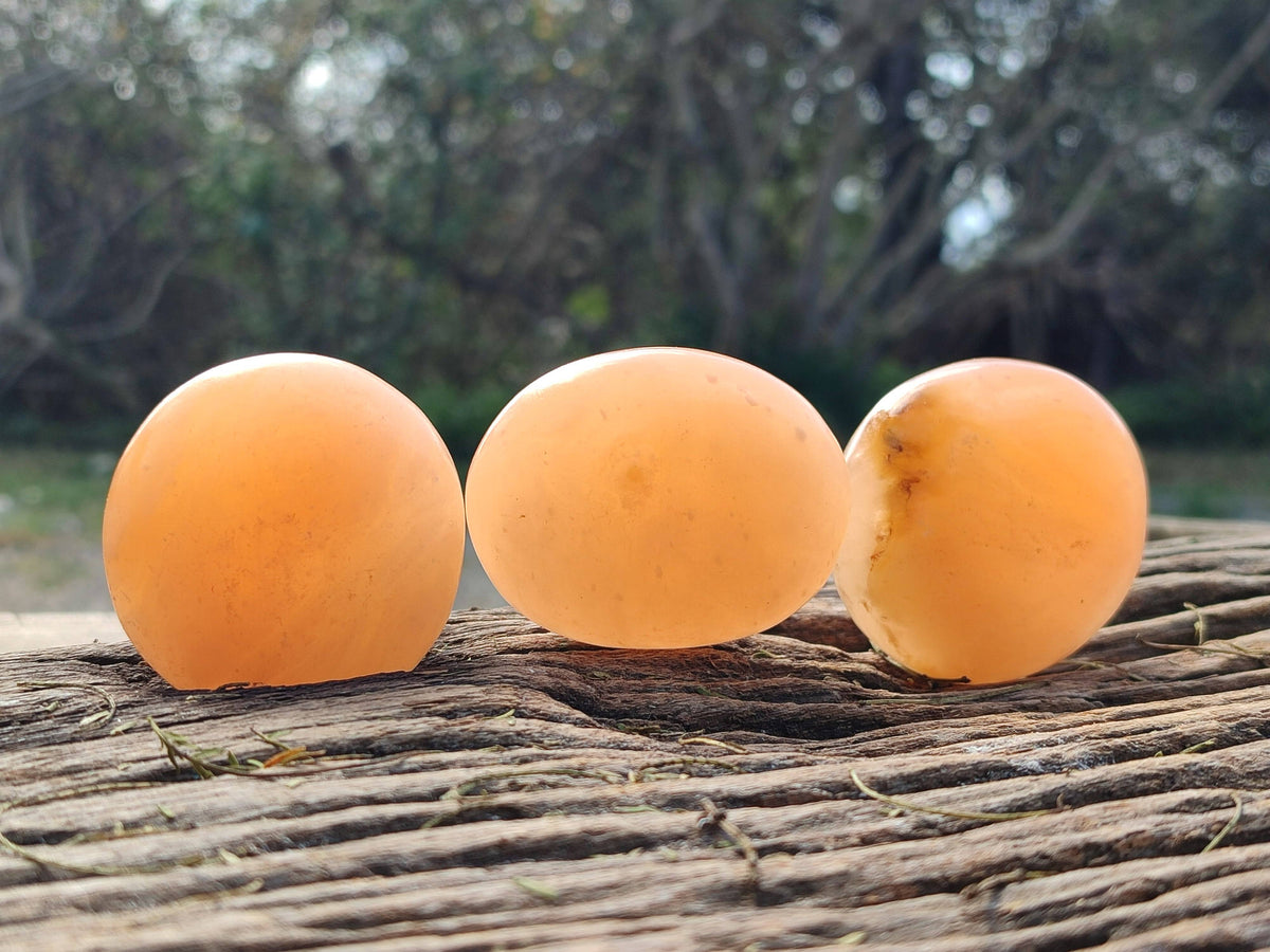Polished Orange Twist Calcite Palm Stones x 24 From Madagascar - Toprock Gemstones and Minerals 