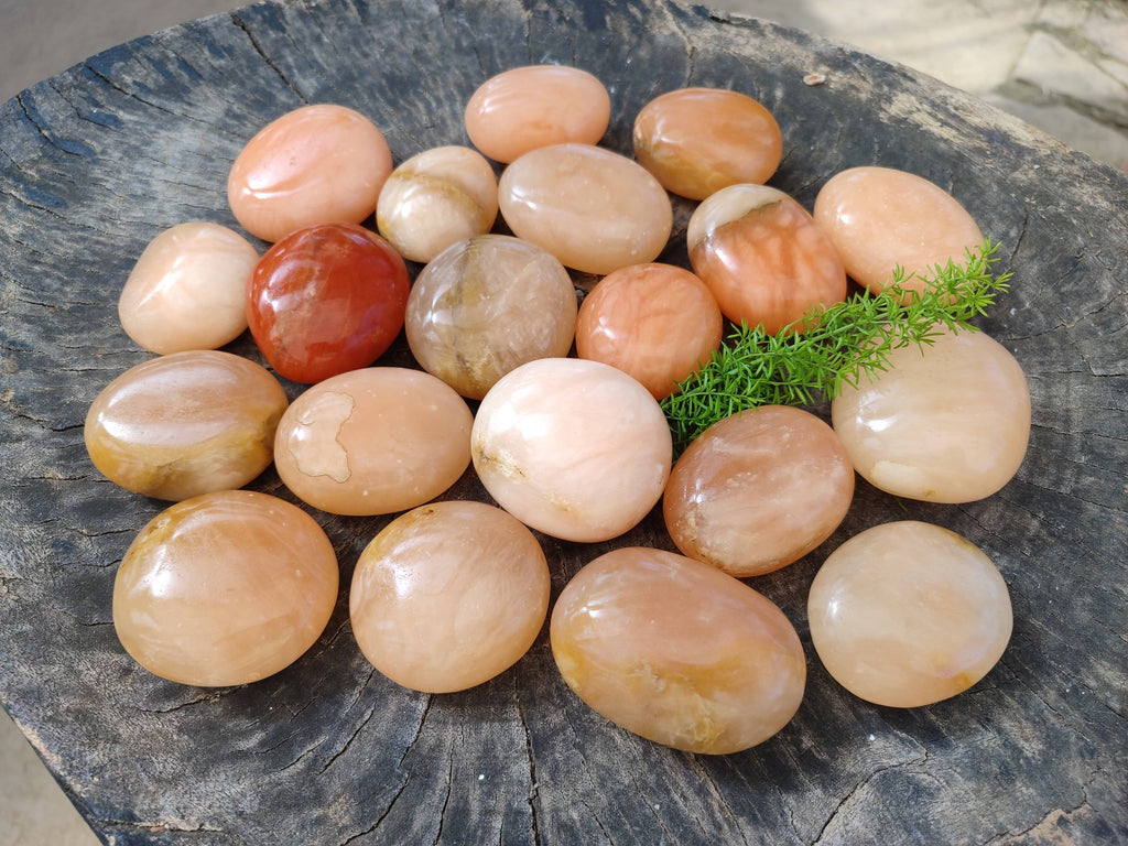 Polished Orange Twist Calcite Palm Stones x 24 From Madagascar - Toprock Gemstones and Minerals 