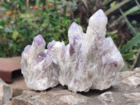 Natural Sugar Amethyst Clusters x 6 From Zambia - Toprock Gemstones and Minerals 