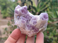 Natural Sugar Amethyst Clusters x 6 From Zambia - Toprock Gemstones and Minerals 