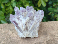 Natural Sugar Amethyst Clusters x 6 From Zambia - Toprock Gemstones and Minerals 