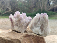 Natural Sugar Amethyst Clusters x 6 From Zambia - Toprock Gemstones and Minerals 