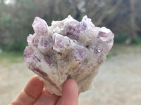 Natural Sugar Amethyst Clusters x 6 From Zambia - Toprock Gemstones and Minerals 