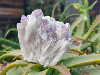 Natural Sugar Amethyst Clusters x 6 From Zambia - Toprock Gemstones and Minerals 