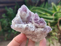 Natural Sugar Amethyst Clusters x 6 From Zambia - Toprock Gemstones and Minerals 