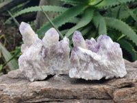 Natural Sugar Amethyst Clusters x 6 From Zambia - Toprock Gemstones and Minerals 