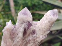 Natural Sugar Amethyst Clusters x 6 From Zambia - Toprock Gemstones and Minerals 