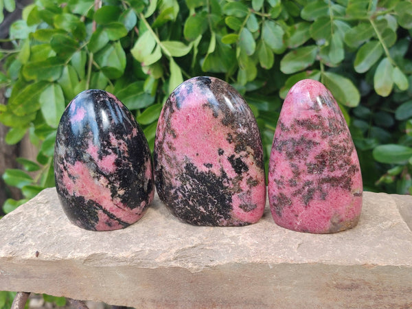 Polished Rhodonite Standing Free Forms x 3 From Ambindavato, Madagascar - Toprock Gemstones and Minerals 