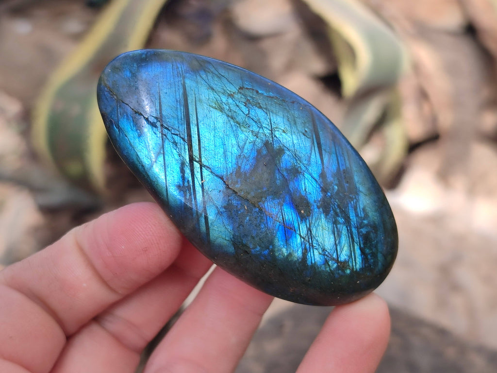 Polished Labradorite Palm Stones x 12 From Tulear, Madagascar - Toprock Gemstones and Minerals 