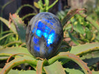 Polished Labradorite Palm Stones x 12 From Tulear, Madagascar - Toprock Gemstones and Minerals 