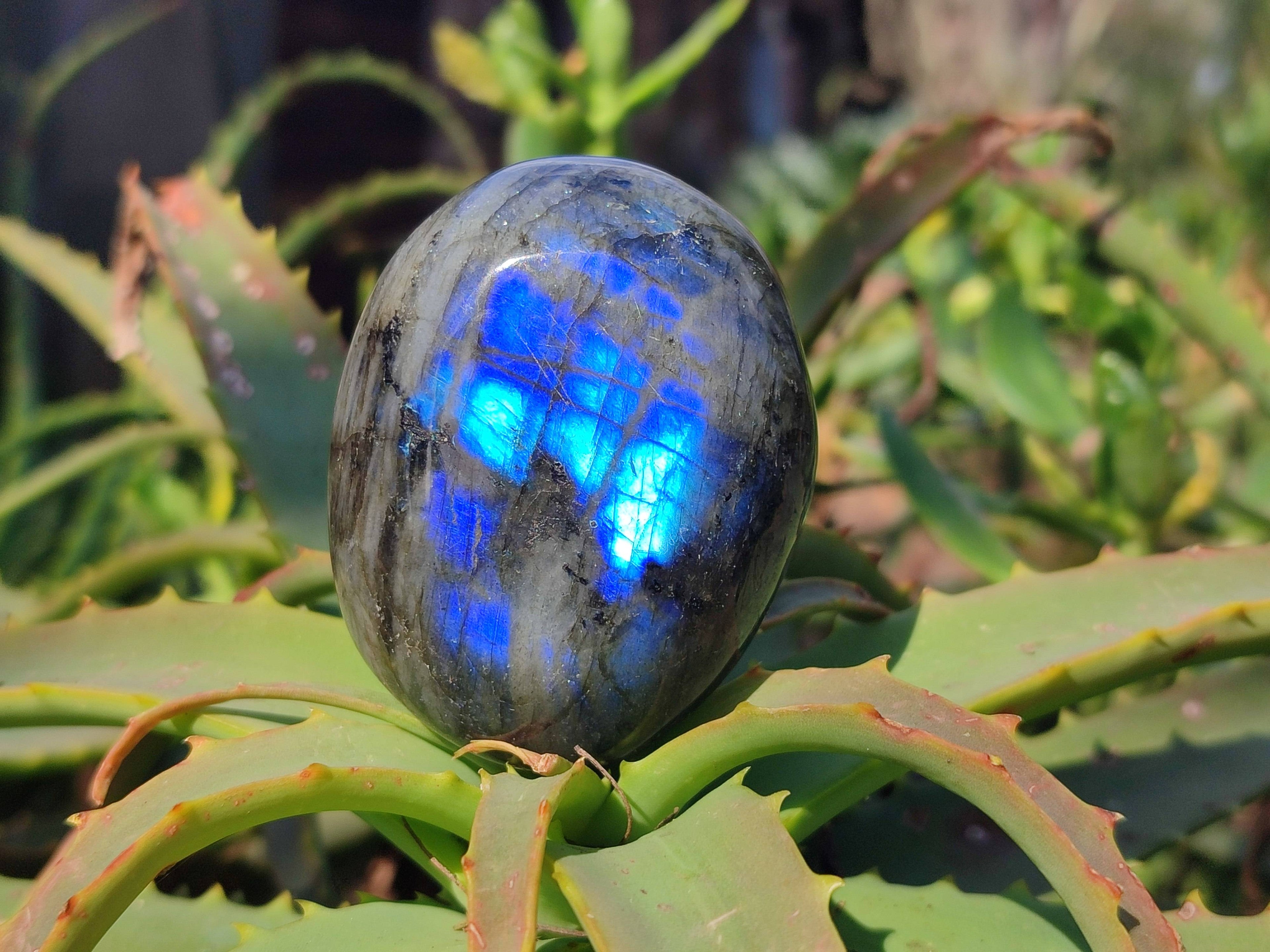 Polished Labradorite Palm Stones x 12 From Tulear, Madagascar - Toprock Gemstones and Minerals 
