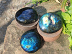 Polished Labradorite Palm Stones x 12 From Tulear, Madagascar - Toprock Gemstones and Minerals 