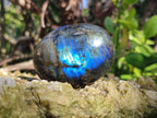 Polished Labradorite Palm Stones x 12 From Tulear, Madagascar - Toprock Gemstones and Minerals 