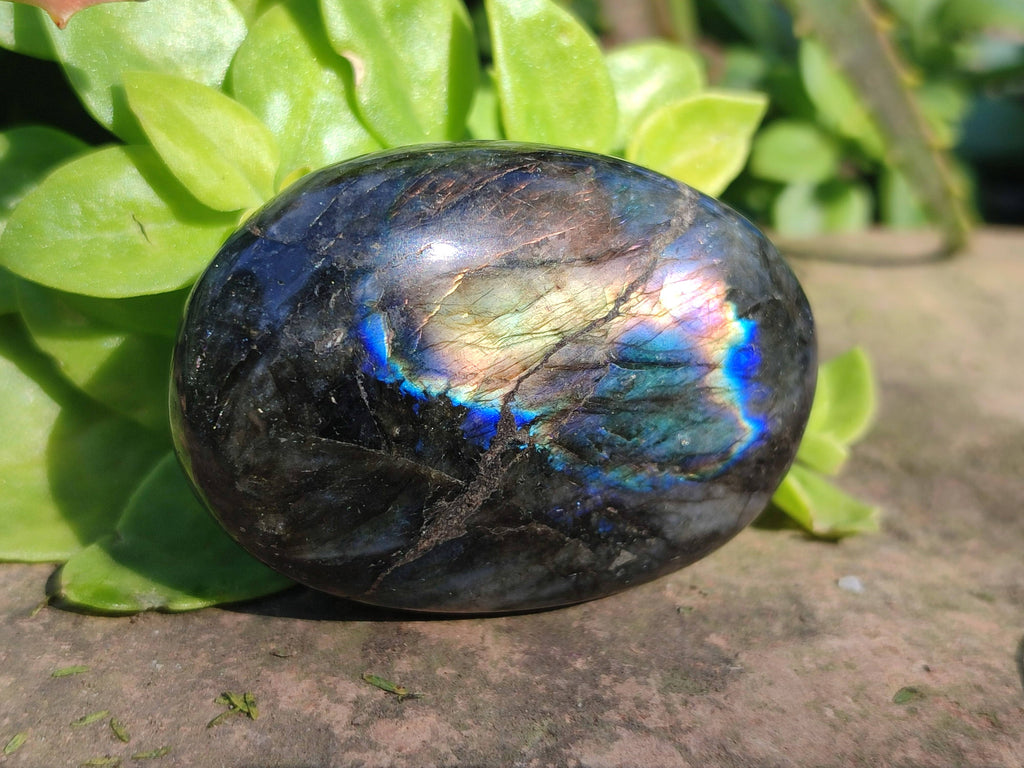 Polished Labradorite Palm Stones x 12 From Tulear, Madagascar - Toprock Gemstones and Minerals 