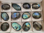 Polished Labradorite Palm Stones x 12 From Tulear, Madagascar - Toprock Gemstones and Minerals 