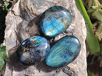 Polished Labradorite Palm Stones x 12 From Tulear, Madagascar - Toprock Gemstones and Minerals 