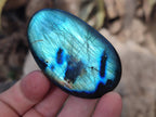 Polished Labradorite Palm Stones x 12 From Tulear, Madagascar - Toprock Gemstones and Minerals 